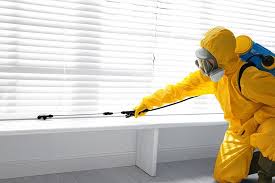 Best Bed Bug Extermination  in Wells, NV